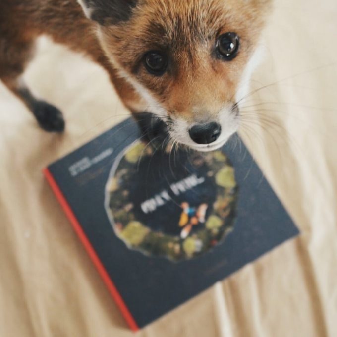 Podepsaná kniha - Malý princ