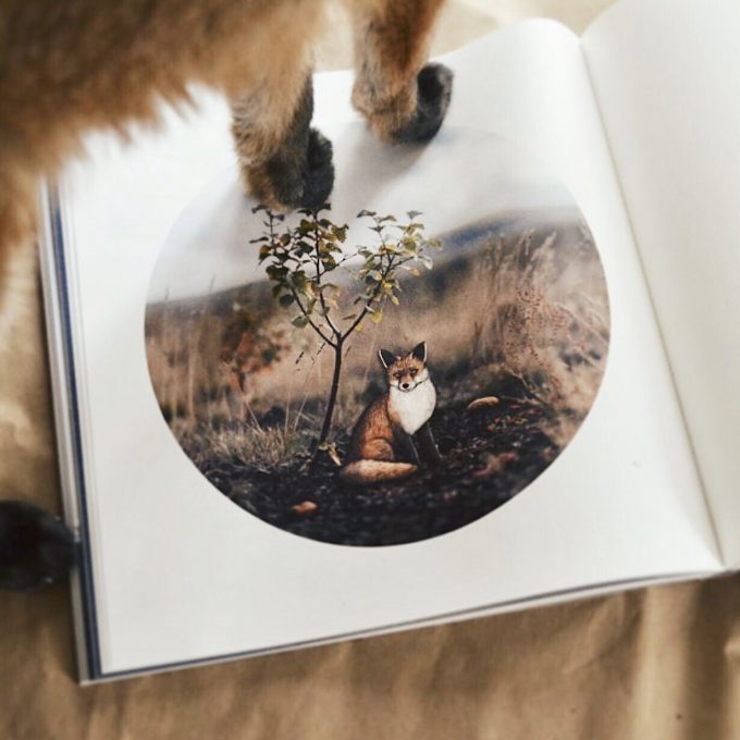 Podepsaná kniha - Malý princ