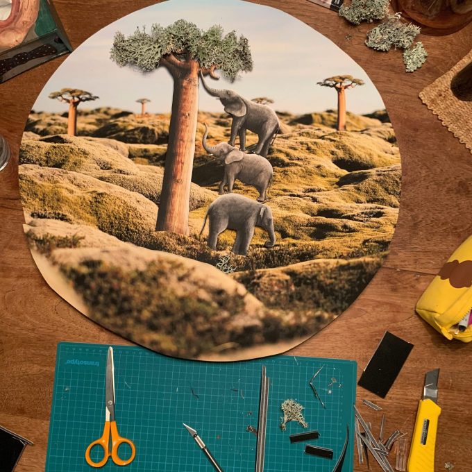 Podepsaná kniha - Malý princ