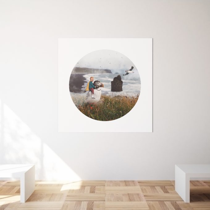 Print Malý princ - Divoký ptáci