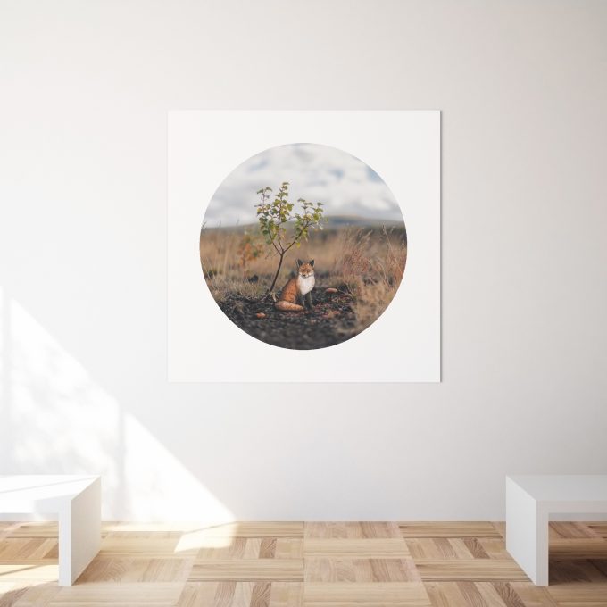 Print Malý princ - Liška