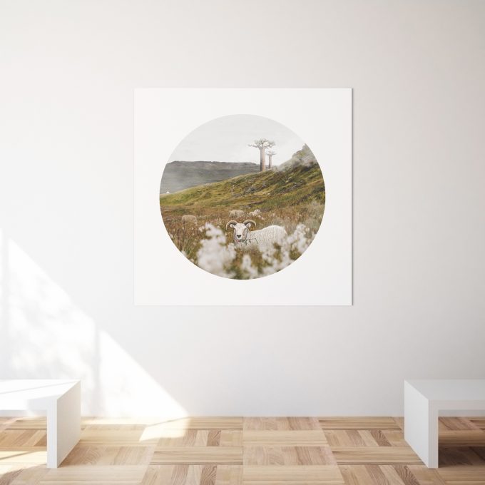 Print Malý princ - Ovečka