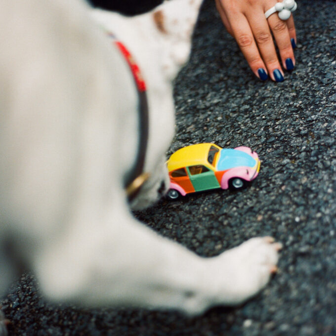 *BROUK pro Plešouny